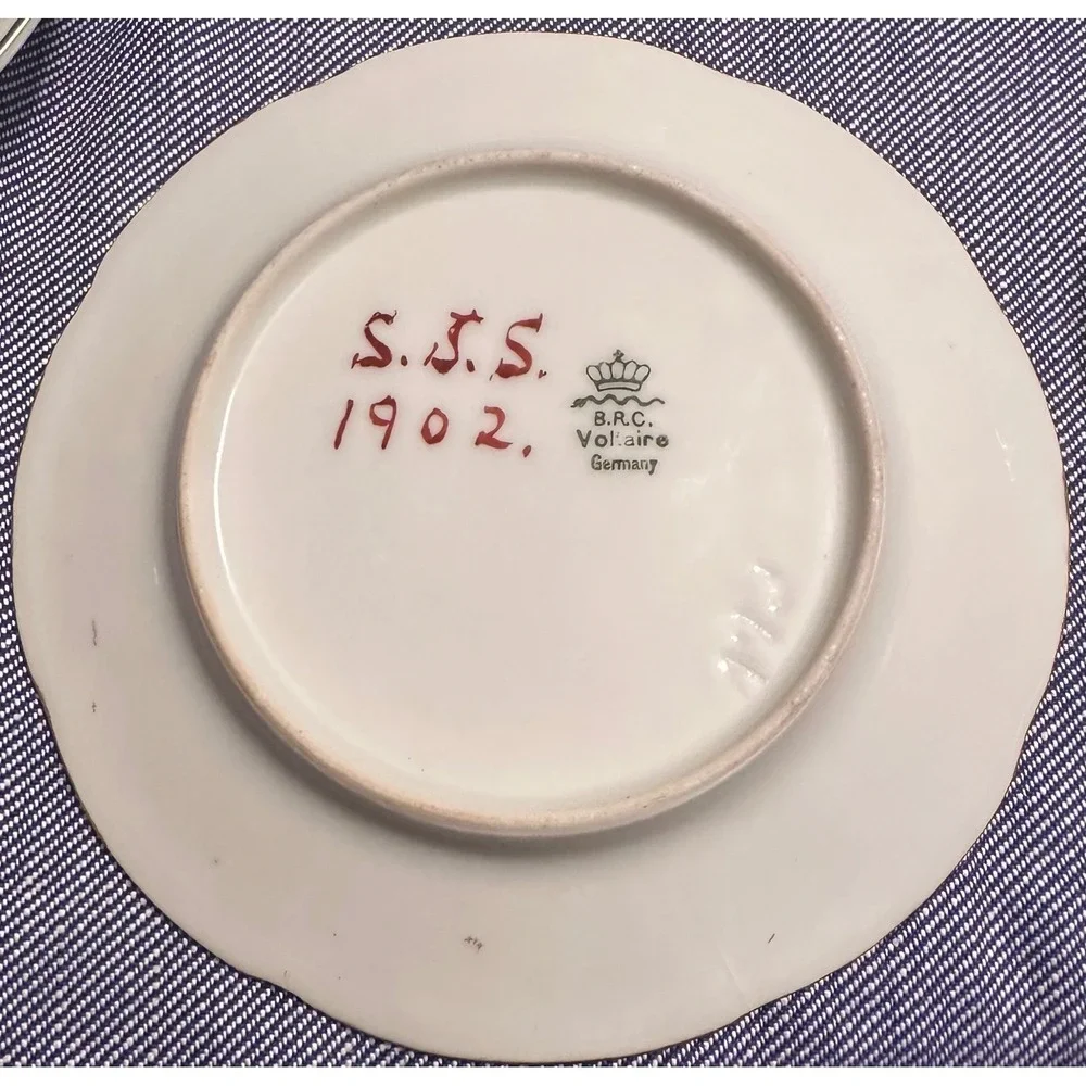 Antique B.R.C. Voltaire Germany‎ Hand Painted Floral Plate 1902